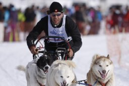Lenk 2013